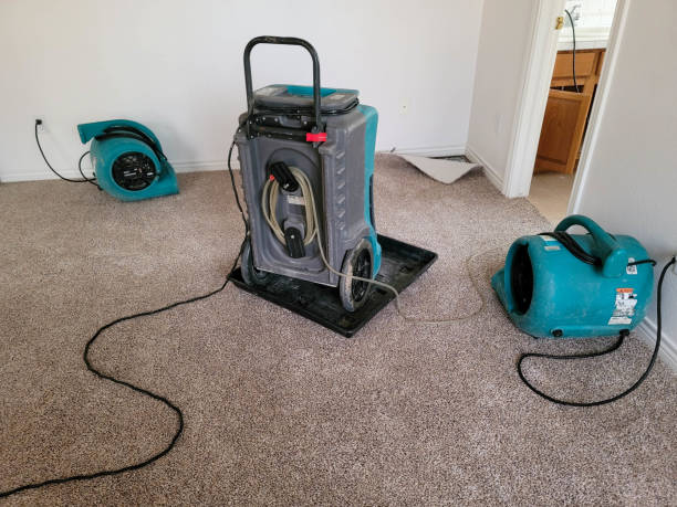 Reliable Blue Ridge, TX Water damage restoration Solutions