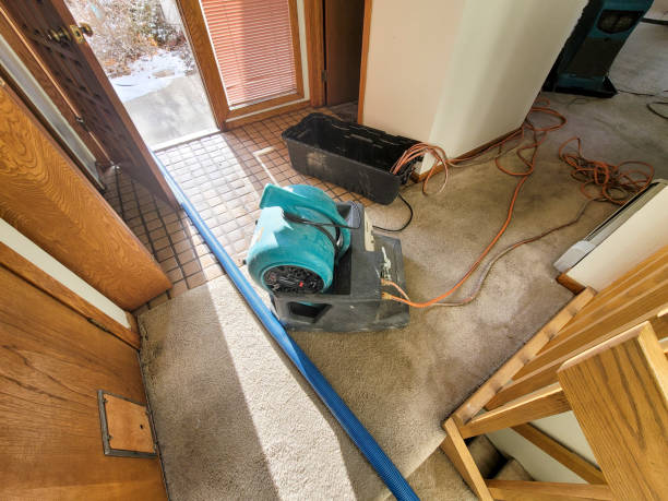 Best Fire Damage Restoration  in Blue Ridge, TX